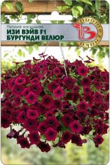 Петуния каскадная Изи Вэйв F1 Бургунди Велюр
