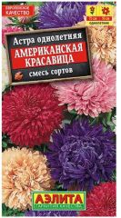 Астра Американская Красавица
