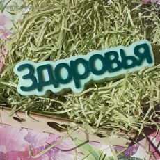 3844501 Пластиковая форма для мыла "Здоровья" 11,7х2.5х4 см