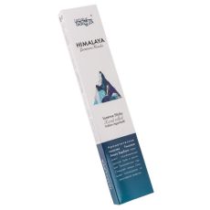 Aasha Herbals Ароматические палочки / Himalaya, 10 шт