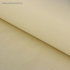 1581334 Бумага тишью "Кремово-белый", 50 х 76 см, 24 шт.