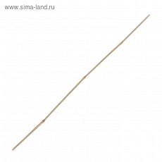 ЦЕНА ЗА 10 ШТ! 4822950 Колышек для подвязки растений, h = 120 см, d = 1-1,2 см, бамбук