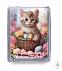 Котенок 