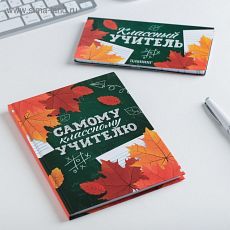 4193961 Подарочный набор ежедневник и планинг "Самому классному учителю"