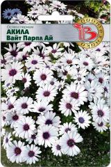 Остеоспермум Акила Вайт Парпл Ай