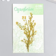 7441887 Сухоцвет 