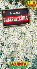 Ясколка Биберштейна Аэлита