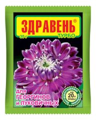 Здравень георг+лук 30г ВХ