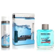 PerfectMen BLUE STORM softшампунь250мл+лосьон п/бр100мл ПАРФЮМЕРИЯ XXI ВЕК