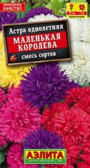 Астра Маленькая Королева Аэлита