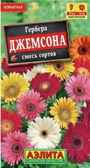 Гербера Джемсона комнатная смесь