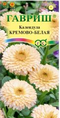 Календула Кремово-Белая Гавриш