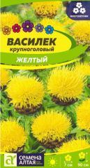 Василек Желтый Крупноголовый Сем.Ал