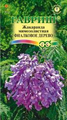 Жакаранда Фиалковое Дерево комнатн