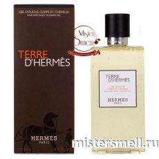 Hermes - Terre D