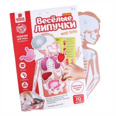 Игрушка развивающая «Весёлые липучки. Моё тело» 5598574