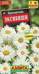 Хризантема Эксибишн Аэлита