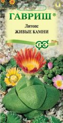 Литопс Живые Камни Гавриш