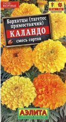 Бархатцы Каландо Аэлита