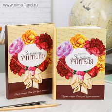 4057761 Ежедневник в подарочной коробке "Золотому учителю", 80 листов