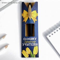 4793361 Ручка в картонном конверте 
