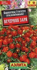 Бархатцы Вечерняя Заря Аэлита