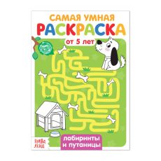 4834966 Раскраска «Лабиринты и путаницы», 12 стр.