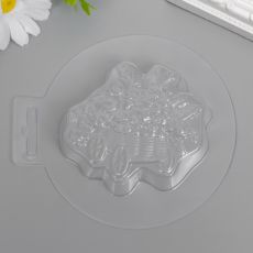 7615363 Пластиковая форма 