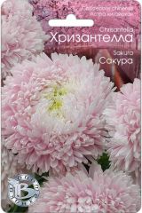 Астра китайская Хризантелла Сакура