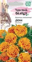 Бархатцы Дюна Гавриш