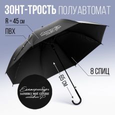 Зонть-трость полуавтомат «Екатеринбург», цвет черный, 8 спиц, R = 45 см 9099726