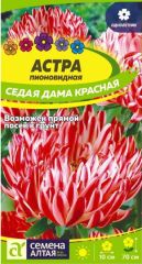 Астра Седая Дама Красная ПИОНОВИДНА