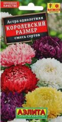 Астра Королевский Размер СМЕСЬ окр