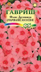 Флокс друммонда Очарование ЛОСОСЕВО