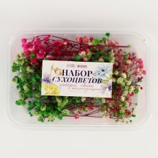 9733793 Набор сухоцветов «Гипсофилы»
