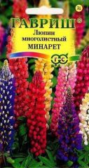 Люпин Минарет