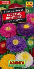 Астра Веселые Помпоны Аэлита