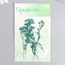 7441888 Сухоцвет 