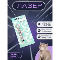 5305855 Лазер «Волшебство вокруг», серебро