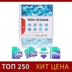 Файл-вкладыш А4, Calligrata, глянцевый, вертикальный, 100 штук, эконом 6534837