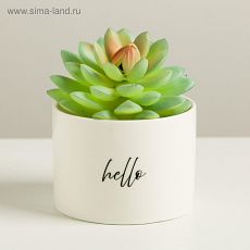 4918778 Керамический белый горшок Hello, 8 х 5,5 см