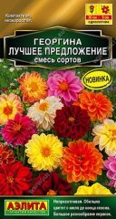 Георгина Лучшее Предложение Золотая