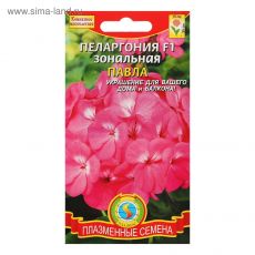 5360419 Семена цветов Пеларгония зональная 