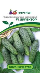 Огурец Директор F1 Партнер