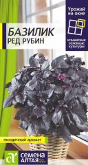 Базилик Ред Рубин фиолет. Сем.Алтая