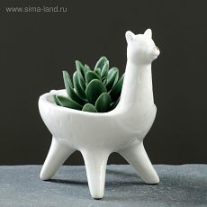 5274437 Кашпо керамическое 