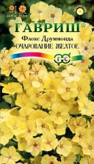 Флокс друммонда Очарование ЖЕЛТОЕ