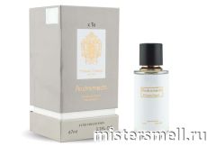 Fragrance World Tiziana Terenzi Andromeda, 67 ml