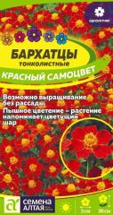 Бархатцы Красный Самоцвет Сем.Алтая