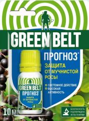 Прогноз флакон 10мл Чистый дом
